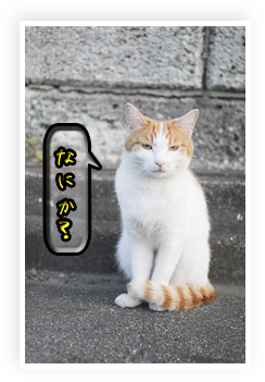 s-IMG_0769.png