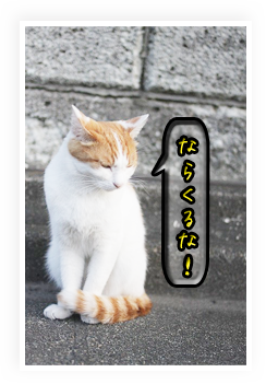 s-IMG_0771.png