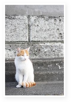s-IMG_0767.png