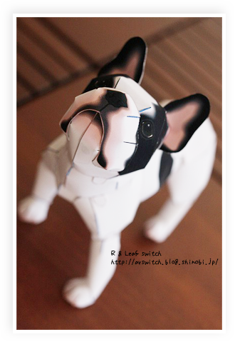 s-IMG_0807.png