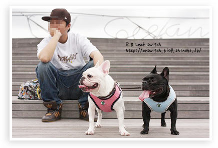 s-IMG_1003.png