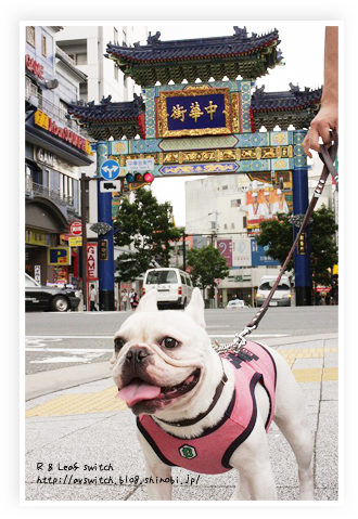 s-IMG_1014.png