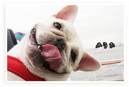 s-IMG_1023.png