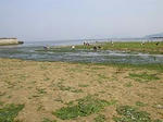 jigozen_0415_07.jpg