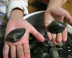 jigozen_0415_13.jpg