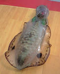 080923-2.jpg
