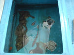 20090331144421.jpg