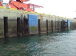 20090331144437.jpg