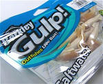 1A01809SW-squid3_S.jpg