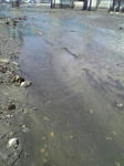 t02200293_0480064010235704711.jpg