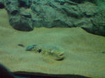 20090929090327.jpg
