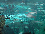 20090929090352.jpg