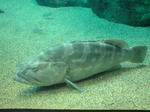 20090929090411.jpg