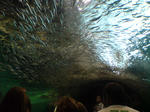 20090929091031.jpg