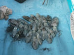 DSCF0309.JPG