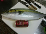 DSCF0311.JPG