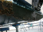 DSCF0315.JPG