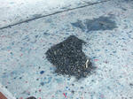 DSCF0318.JPG