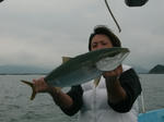 DSCF0395.JPG