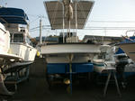 DSCF0463.JPG