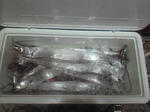 2011031321520000.jpg