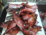 2011031322450000.jpg