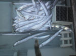 2011092517580000.jpg