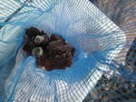 2012090212240001.jpg