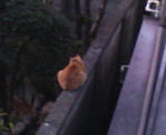 目があったのは･･･