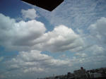 今日の雲は個性的
