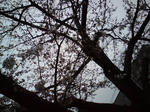 100329s.jpg