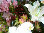 100406flower.jpg