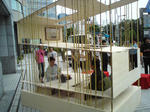 100620b.jpg