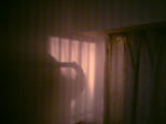 101125a.jpg