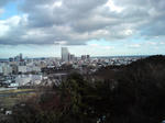 110108sd.jpg