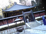 110108zhd.jpg