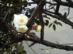 110114u.jpg