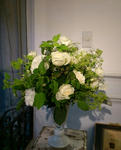 110618h2_c.jpg