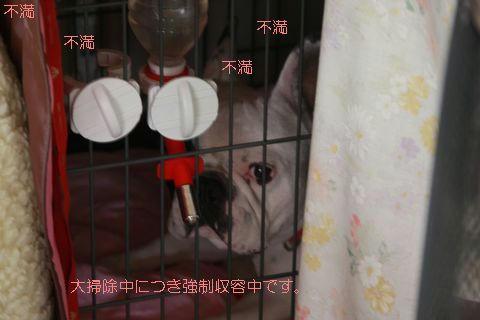 強制収容