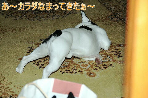 あ～カラダなまってきた