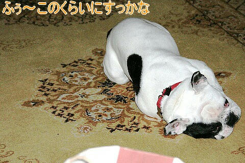 おしまい
