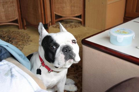 まだですか？