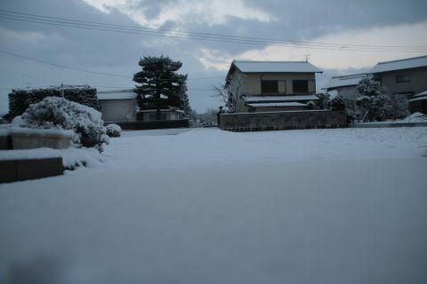 雪です