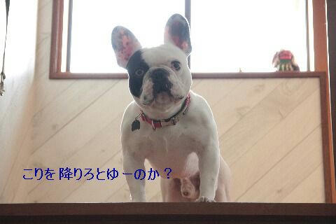 階段の上