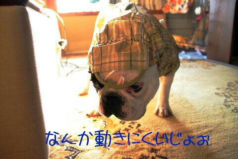 レインコート買って貰った
