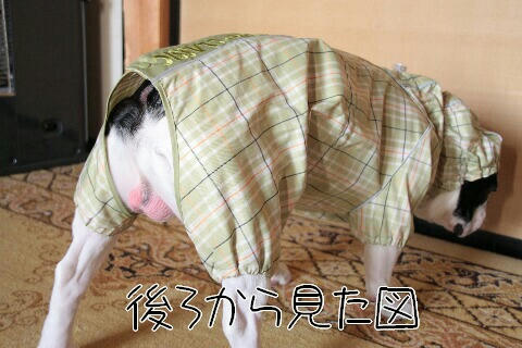 後ろから見た図