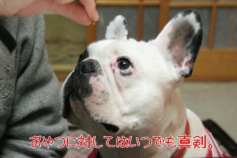 狙いを定めて