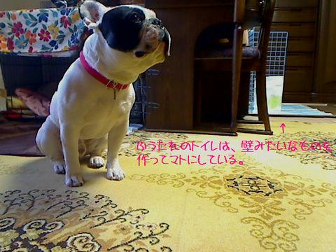 webカメラ