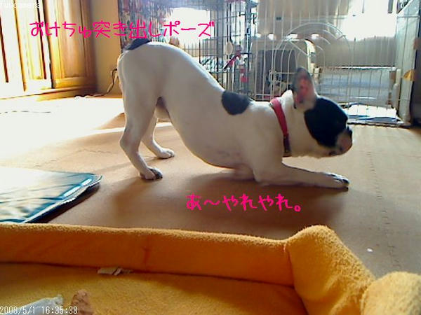 おけちゅ～