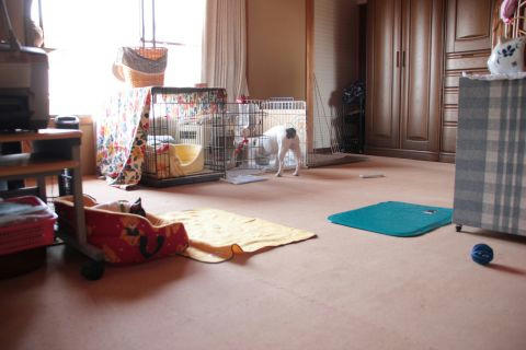 現在の部屋の状況
